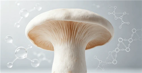 L-Estratt tal-Ġisem tal-Frott ta' Ganoderma Leucocontextum joħroġ bħala Bijoa...